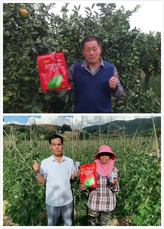 什么是“枯草芽孢杆菌”?枯草芽孢杆菌你真的了解吗? 什么是“枯草芽孢杆菌”?枯草芽孢杆菌你真的了解吗?
