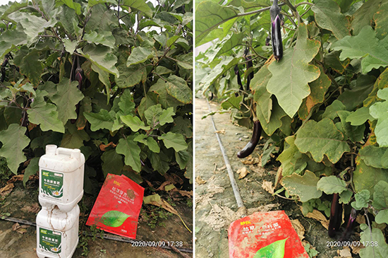 什么是“枯草芽孢杆菌”?枯草芽孢杆菌你真的了解吗? 什么是“枯草芽孢杆菌”?枯草芽孢杆菌你真的了解吗?